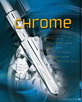 Chrome Metric 2009.5