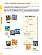 Show page 74