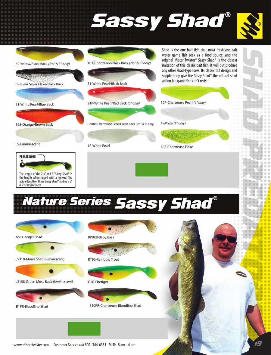 mister twister sassy shad