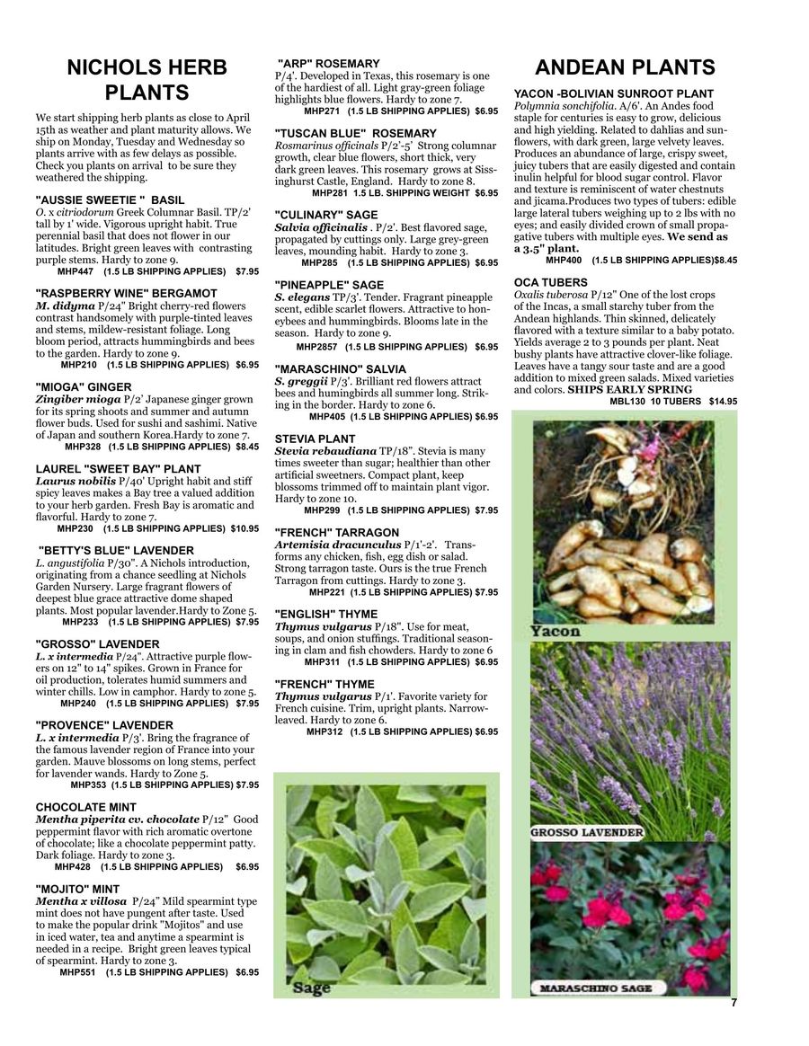 Page 5 Of Fine Seeds And Herbs 2016