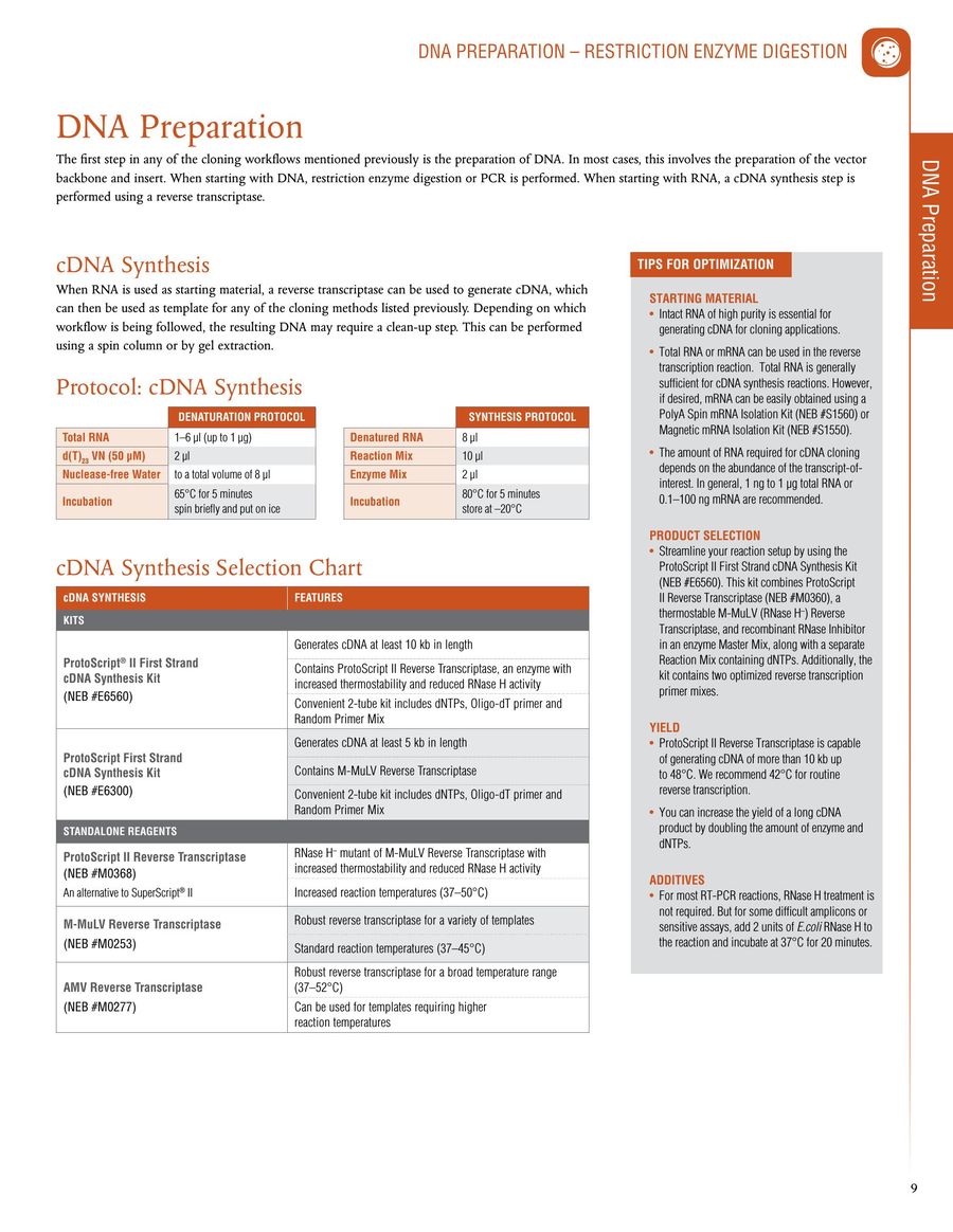 Neb Enzyme Compatibility Chart