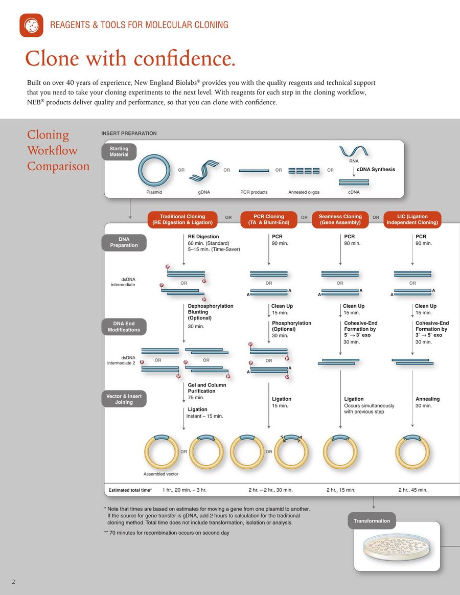 Neb Enzyme Compatibility Chart