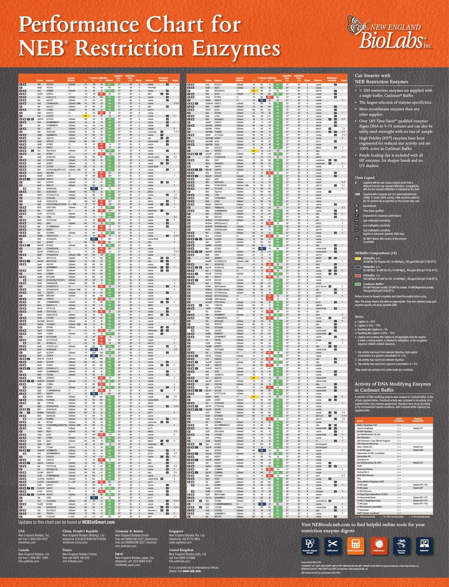 Neb Restriction Enzyme Chart