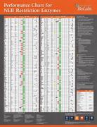 neb restriction enzyme activity 2016 by new england biolabs fermentas restriction enzyme chart