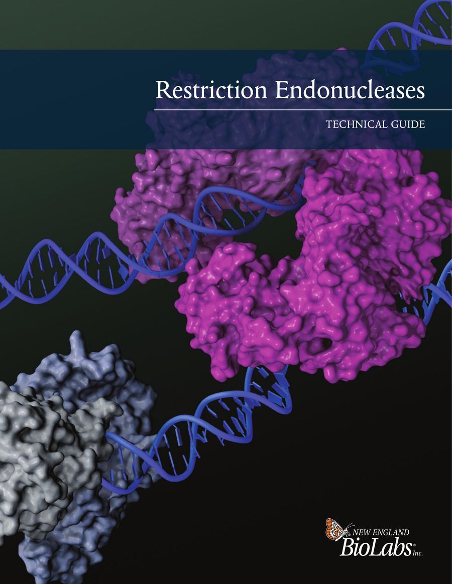 New England Biolabs Restriction Enzymes Buffer Chart