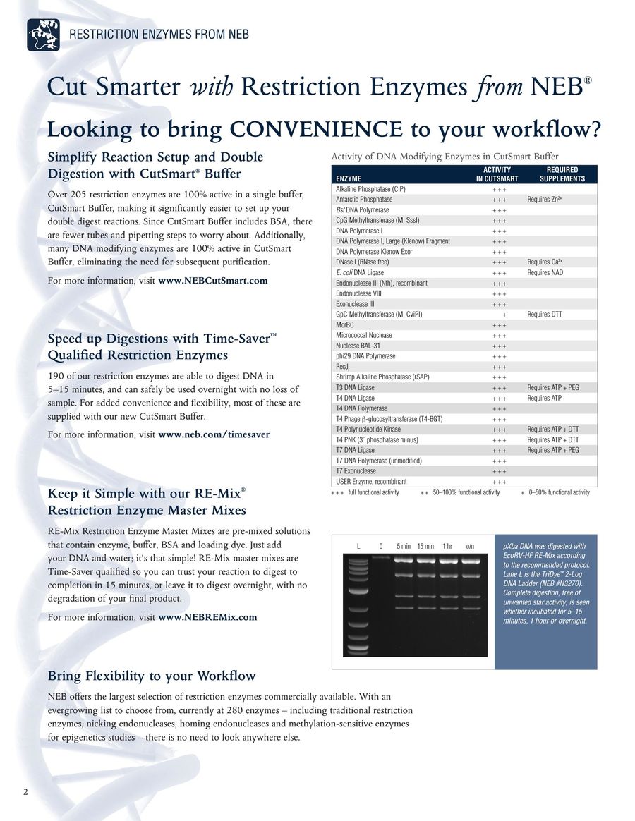 Neb Restriction Enzyme Chart