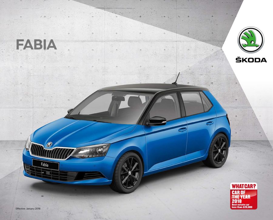 Skoda Fabia Colour Chart