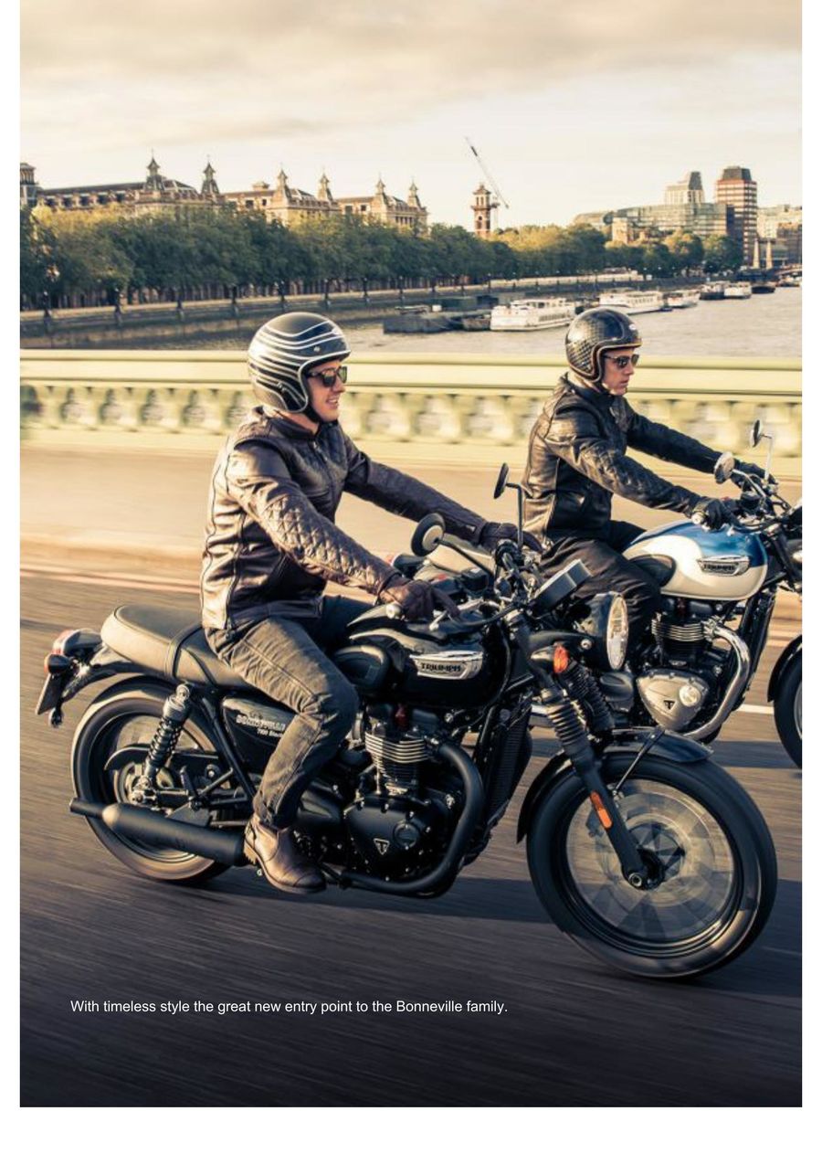 triumph bonneville t100 backrest